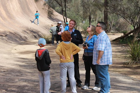 Wave Rock & Rottnest Island - Air & Ground Tour - Accommodation Bookings 3