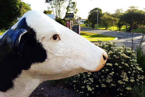 Margaret River (Private) Day Tour - Accommodation Bookings 22