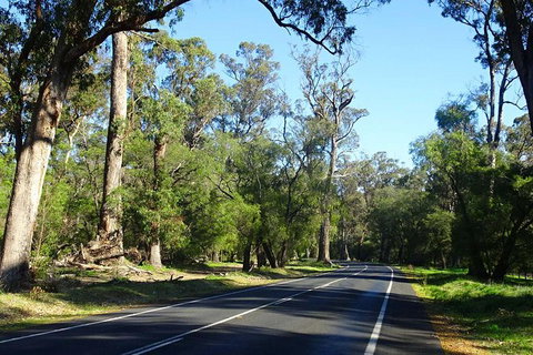 Margaret River (Private) Day Tour - Accommodation Bookings 12