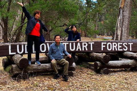 Margaret River (Private) Day Tour - Accommodation Bookings 21