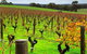 Margaret River (Private) Day Tour - thumb 8