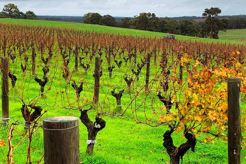Margaret River (Private) Day Tour - Accommodation Bookings 8