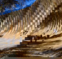 The Big Wave Rock Private Day Tour - Accommodation Bookings