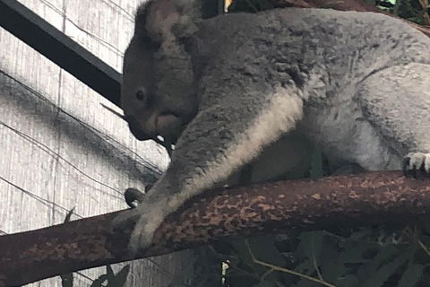 Perth Hills - Wildlife, Art & Gastronomy - Accommodation Bookings 7