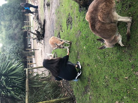 Perth Hills - Wildlife, Art & Gastronomy - Accommodation Bookings 9