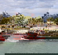 The Pirate Cruise in Mandurah on Viator - Accommodation Bookings