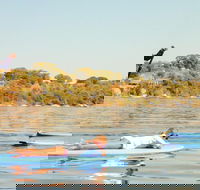 Stand-Up Paddleboarding Lesson plus Guided Paddle on Perth's Swan River - Accommodation Bookings