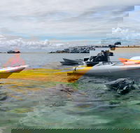 Seal Island and Penguin Island or Point Peron Sea Kayak Tour - Accommodation Bookings