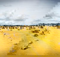1 Day Pinnacles Wildlife  Sandboarding - Accommodation Bookings