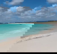 Pink Lake and Abrolhos Full Day Fly and Flipper - Accommodation Bookings