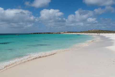 Pink Lake And Abrolhos Full Day Fly And Flipper - Accommodation Bookings 0