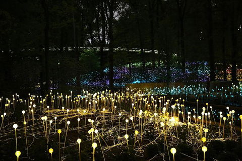 National Anzac Centre Field Of Light Panorama Pass - Accommodation Bookings 0