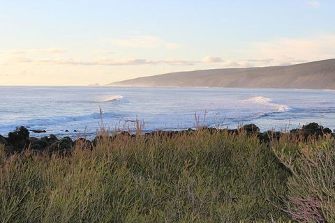 Margaret River Indulge And Discover Day Tour - Accommodation Bookings 1