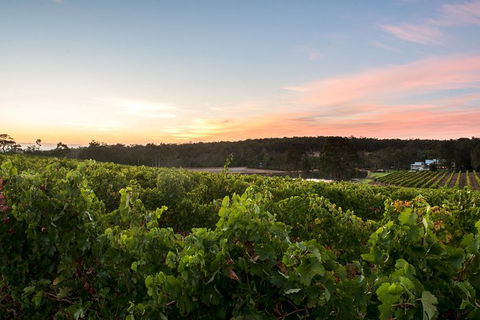 Margaret River Indulge And Discover Day Tour - Accommodation Bookings 5