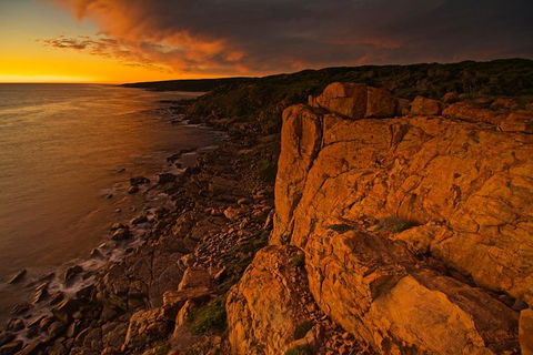Margaret River Indulge And Discover Day Tour - Accommodation Bookings 13