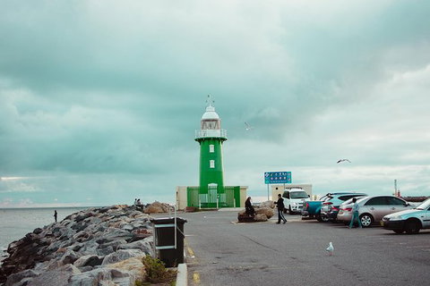 Penguin Island And Fremantle - Canoe, Chocolate & Coffee - Accommodation Bookings 1