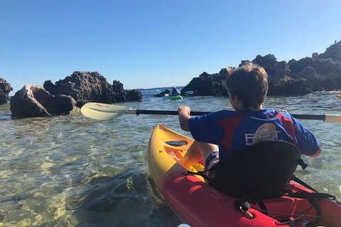Penguin Island And Fremantle - Canoe, Chocolate & Coffee - Accommodation Bookings 0