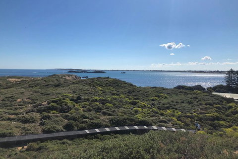 Penguin Island And Fremantle - Canoe, Chocolate & Coffee - Accommodation Bookings 12