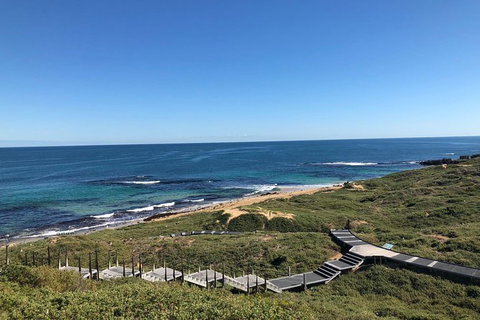 Penguin Island And Fremantle - Canoe, Chocolate & Coffee - Accommodation Bookings 3