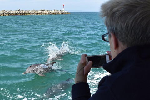 Mandurah Dolphin Island Adventure - Accommodation Bookings 0