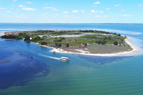Mandurah Dolphin Island Adventure - Accommodation Bookings 8
