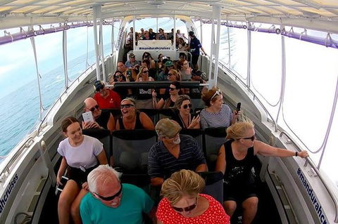 Mandurah Dolphin Island Adventure - Accommodation Bookings 12