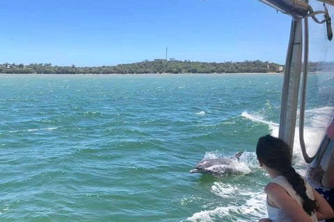 Mandurah Dolphin Island Adventure - Accommodation Bookings 9