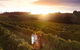 Leeuwin Estate: Food And Wine Experience - thumb 0