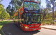 Perth Hop-On Hop-Off Bus Tour - thumb 0