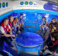 Glass Bottom Boat Adventure and AQWA General Entry Ticket - Accommodation Bookings