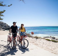 Rottnest Island with Bike Hire from Perth or Fremantle - Accommodation Bookings