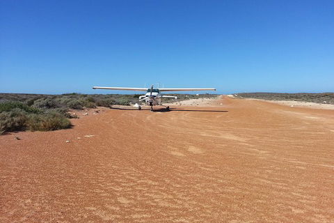 Abrolhos Islands Scenic Flight & Snorkel Adventure From Perth - Accommodation Bookings 6
