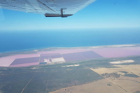 Abrolhos Islands Scenic Flight & Snorkel Adventure From Perth - Accommodation Bookings 7