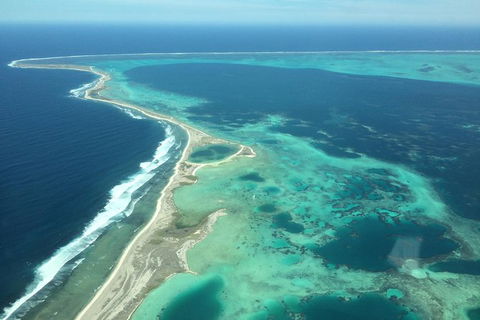 Abrolhos Islands Scenic Flight & Snorkel Adventure From Perth - Accommodation Bookings 5