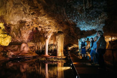Lake Cave Fully Guided Tour - Accommodation Bookings 0