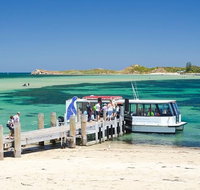 Penguin Island and Caversham Wildlife Park Day Trip From Perth - Accommodation Bookings