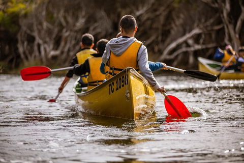 Margaret River Canoe Tour Including Lunch - Accommodation Bookings 15