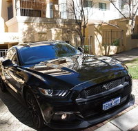 Wineries and Wildlife - With Mustang V8 Fastback - Accommodation Bookings