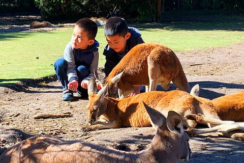 Perth Kids Explorer (Private) Day Tour - Accommodation Bookings 1