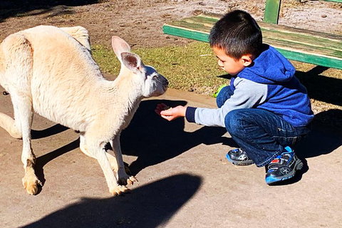 Perth Kids Explorer (Private) Day Tour - Accommodation Bookings 8