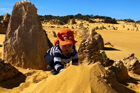 Perth Kids Explorer (Private) Day Tour - Accommodation Bookings 3