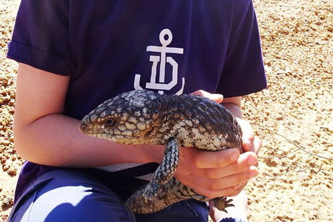 Perth Kids Explorer (Private) Day Tour - Accommodation Bookings 13