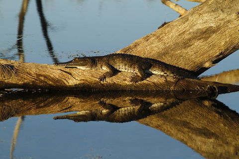 Lake Argyle Best Of Lake Argyle Cruise Departing Kununurra - Accommodation Bookings 1
