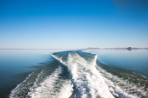 Lake Argyle Best Of Lake Argyle Cruise Departing Kununurra - Accommodation Bookings 5
