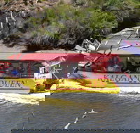 Kalgan Queen Scenic Cruises a four hour sheltered water wildlife tour daily fun. - Accommodation Bookings