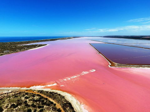 Pink Lake Aerial Flyover From Geraldton - Accommodation Bookings 0