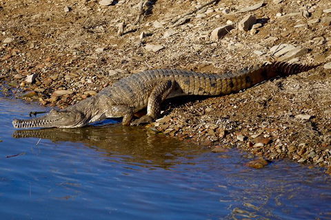 Lake Argyle Best Of Lake Argyle Cruise Departing Lake Argyle - Accommodation Bookings 8