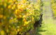 Full-Day Winery And Brewery Tour In Margaret River With Lunch - thumb 6