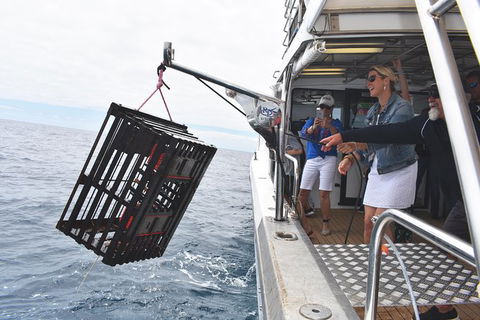 Rottnest Island Wild Seafood Package From Perth With Transfer - Accommodation Bookings 0
