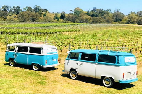 VW Kombi Wine Tour In The Swan Valley - Accommodation Bookings 6